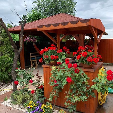 Airport16 Bed And Breakfast Вечеш Екстериор снимка